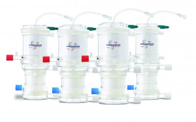 Chalice Medical Ltd. COVID – 19.